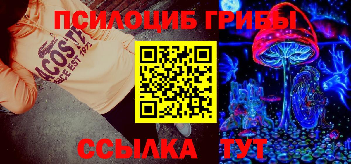 Псилоцибиновые грибы Cubensis Железноводск