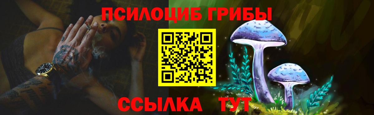 закладки  Галлюциногенные грибы GOLDEN TEACHER  Железноводск  Вход с VPN  Галлюциногенные грибы мухоморы 